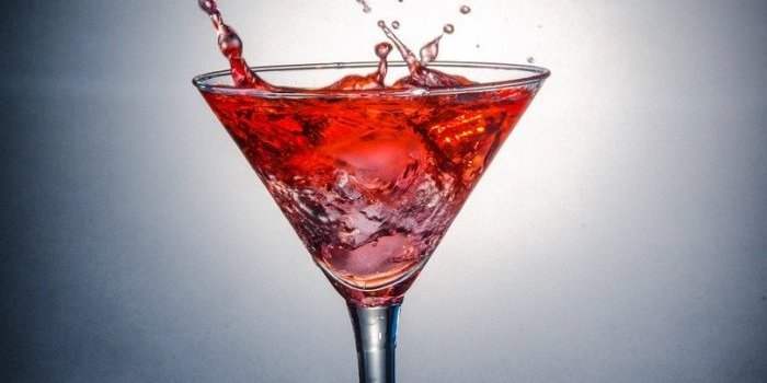 Cocktail des Nouveaux Membres