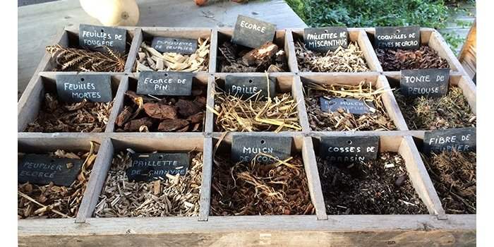 Club Nature - Préparer son jardin pour l'hiver 