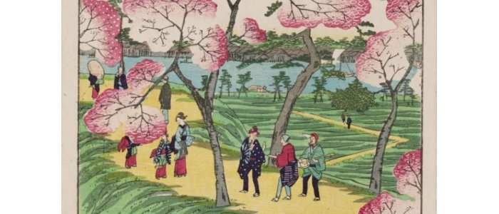 Visite de quartiers en français : Cherry Blossom 