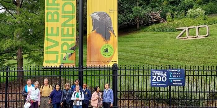 Marche de DC au Zoo