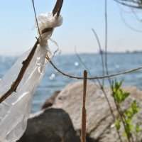 Club Nature - ÉVÉNEMENT COMPLET donc ANNULÉ. Nettoyage de berges à Fort McHenry National Monument - Samedi 14 novembre 2020 de 10h00 à 13h00 Club Nature - ÉVÉNEMENT COMPLET donc ANNULÉ. Nettoyage de berges à Fort McHenry National Monument