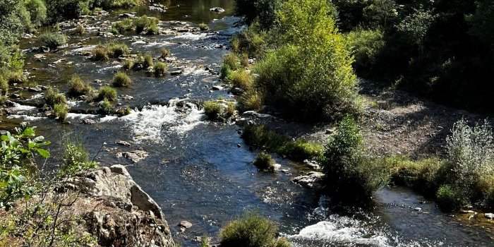 Club Nature - ANNULE Protéger la Loire aujourd'hui pour demain avec l'association SOS Loire Vivante