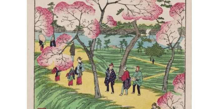 Visite de quartiers en français : Cherry Blossom 