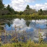 Marche-Meadowlark Botanical Garden 